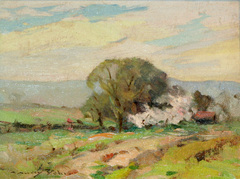 Summer landscape