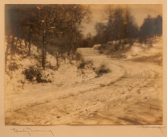 Winter Morning by Frank Hohenberger