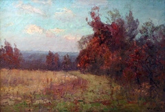 Through the Clearing