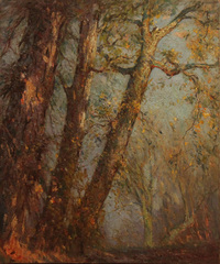 The Yellow Poplars