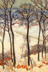Winter in the Valley