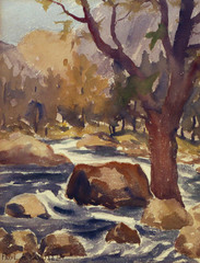 Colorado Landscape (with creek)