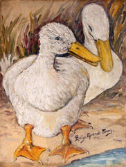 Ducks