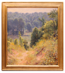 The Abandoned Road, Delavan Wis