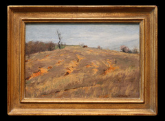 Early Spring Landscape