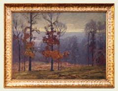 Autumn Twilight of the Woods