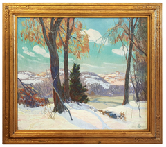 Winter in the Ozarks