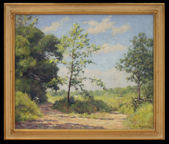 Brown County Summer Landscape
