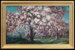 Magnolia