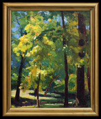 Brown County Forest View