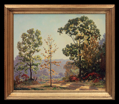 Smokies Landscape