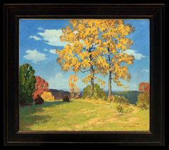 Wisconsin Overlook