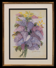 Lilacs