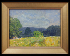 Brown County Hills in Summer