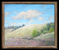 Brown County Summer Landscape