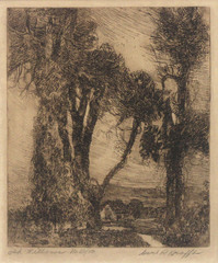 Old Willows