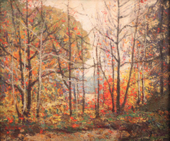 Fall Landscape
