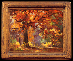 Autumn Forest