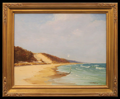 Lake Michigan Shoreline