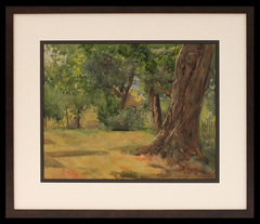 Summer Day in the Backyard